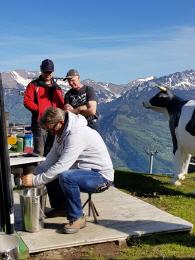 vereinsausflug ideen vereinsausflüge