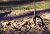 gruppenaktivit�t sommer spass spiel